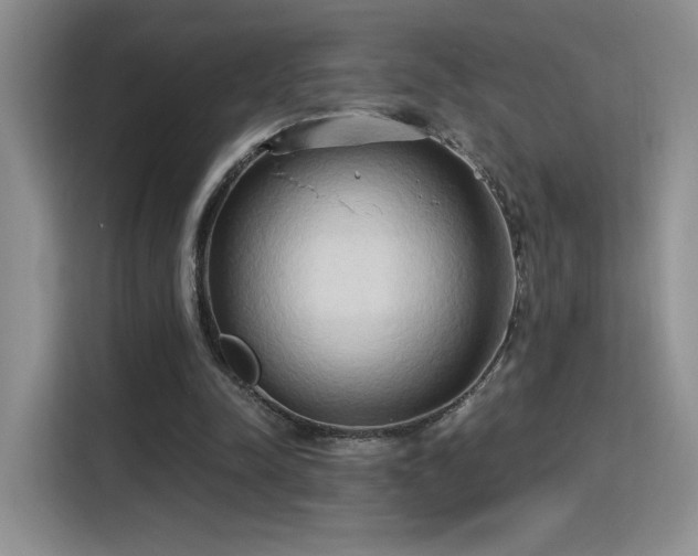 X0000115790342200911201336