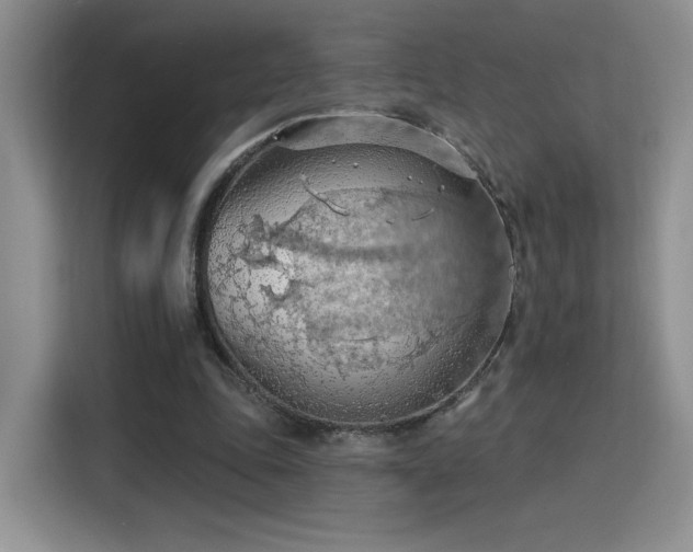 X0000115790343200911201336