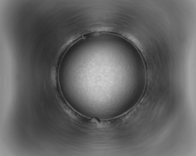 X0000115790345200911201336