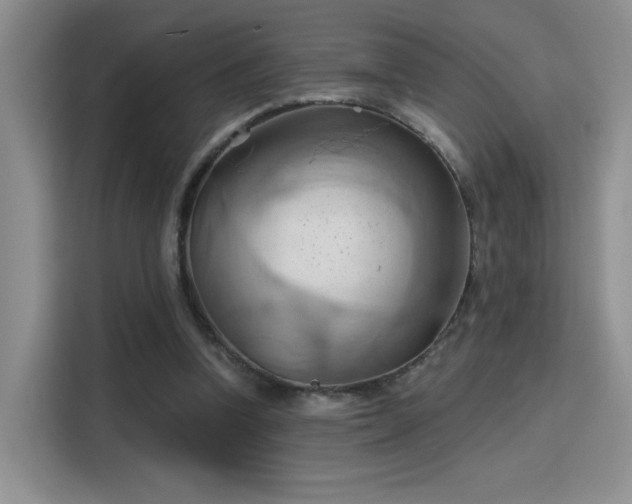 X0000115790346200911201336