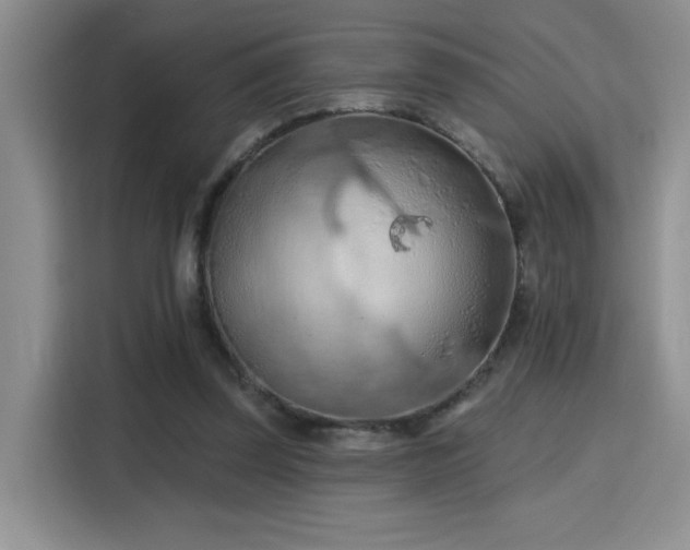 X0000115790347200911201336