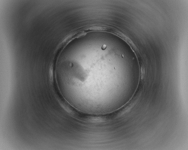 X0000115790349200911201336