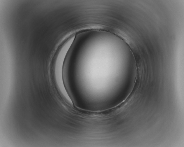 X0000115790350200911201336