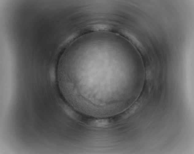 X0000115790353200911201336