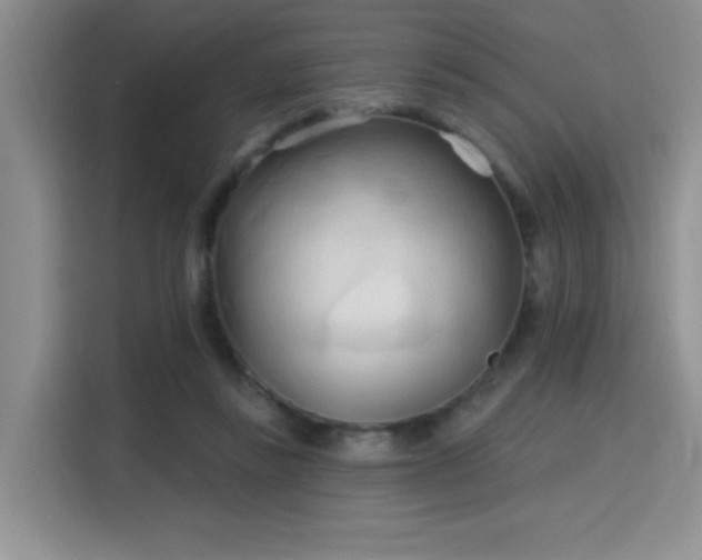 X0000115790355200911201336