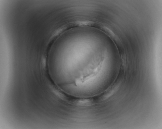 X0000115790357200911201336