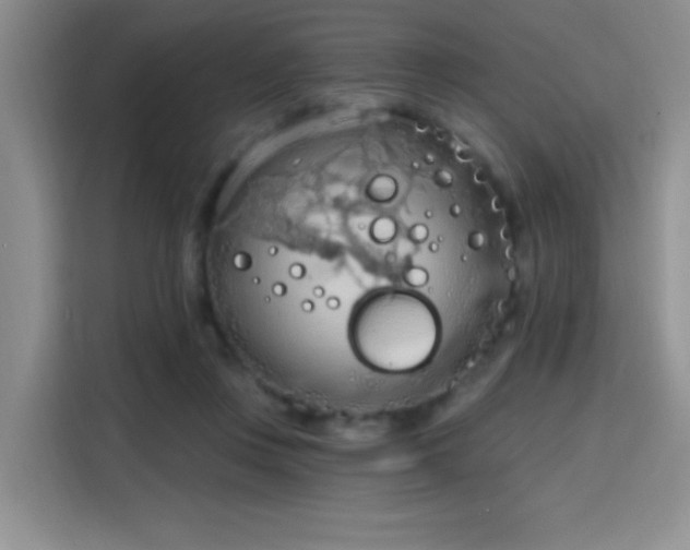 X0000115790359200911201336