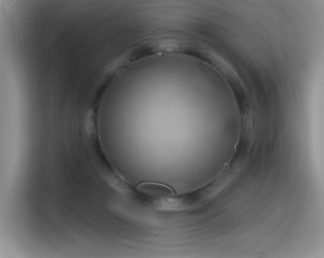 X0000115790361200911201336