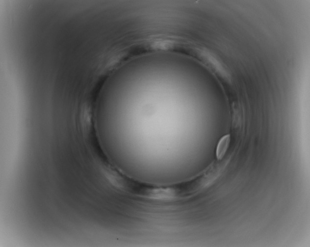 X0000115790363200911201337