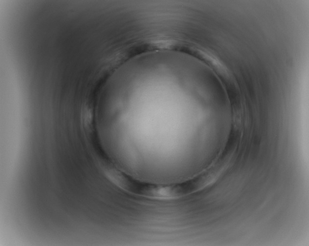 X0000115790365200911201337