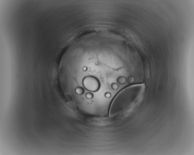 X0000115790367200911201337