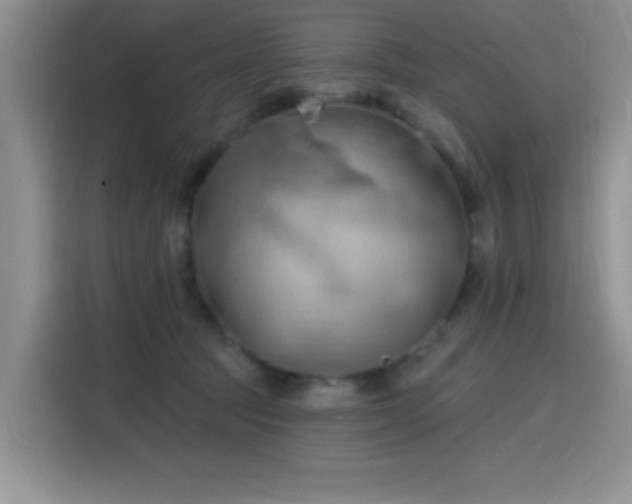 X0000115790369200911201337