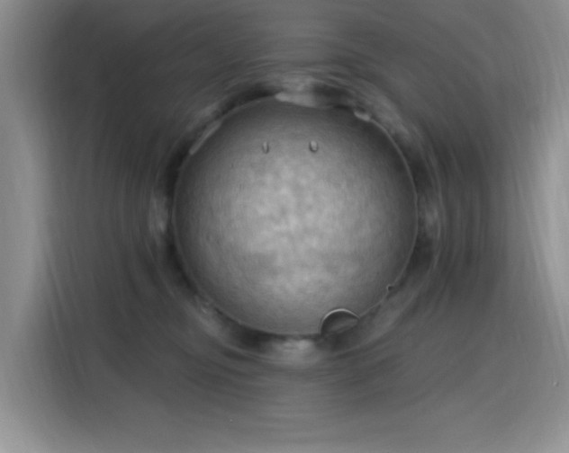 X0000115790374200911201337