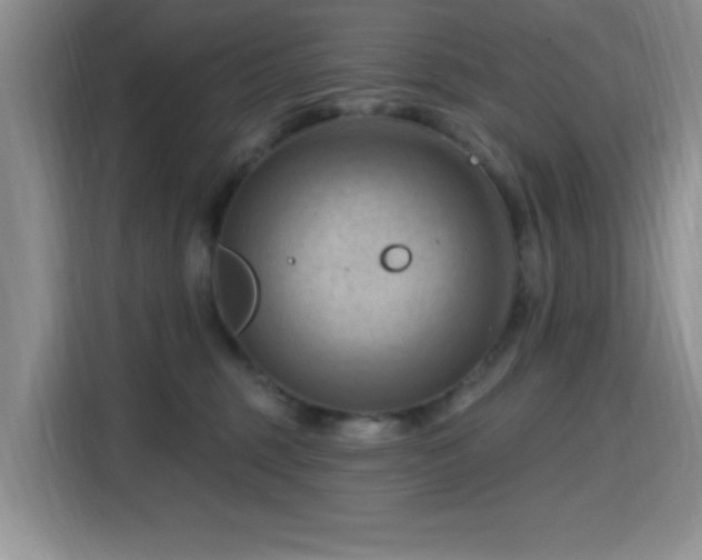 X0000115790375200911201337