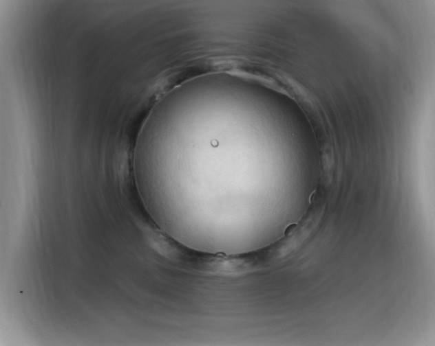 X0000115790379200911201337