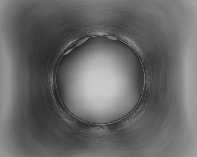 X0000115790386200911201336