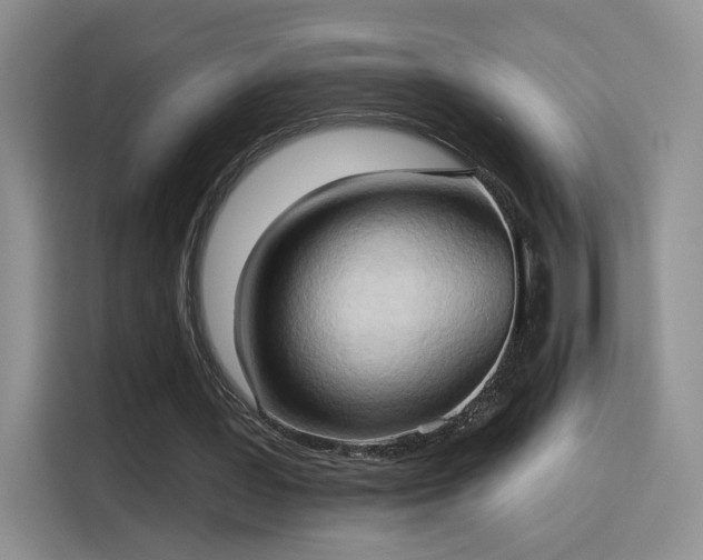 X0000115790387200911201336