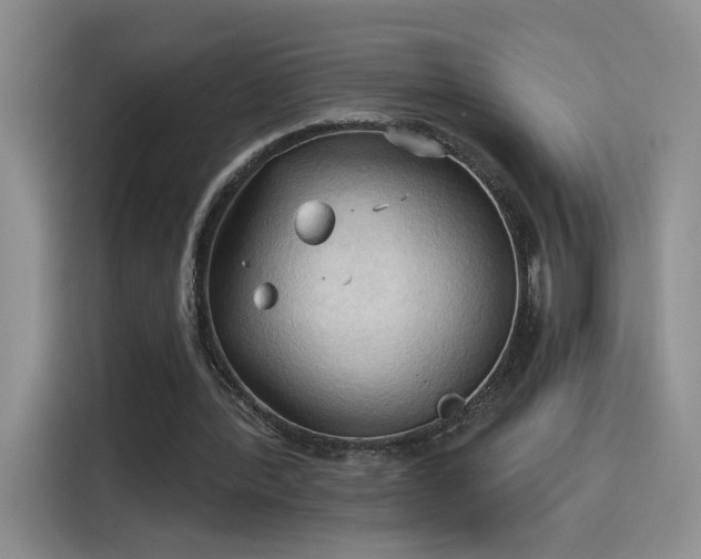 X0000115790388200911201336