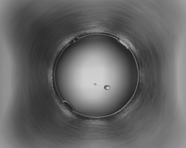 X0000115790389200911201336