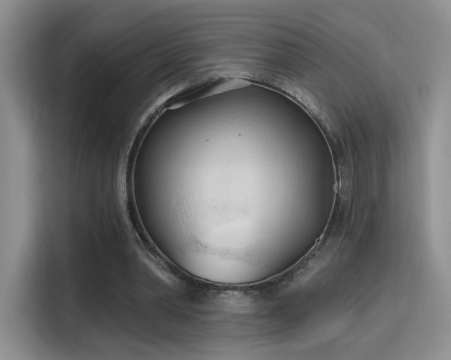 X0000115790390200911201336