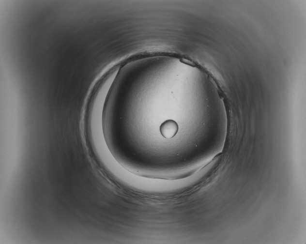 X0000115790391200911201336