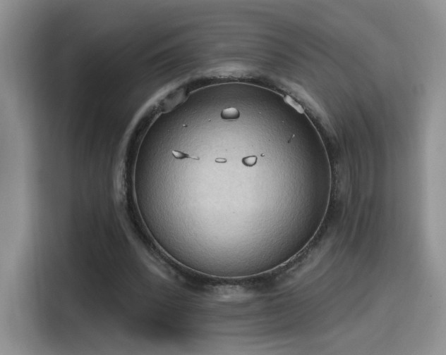 X0000115790392200911201336