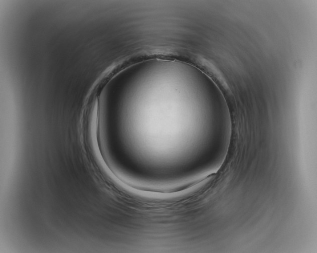 X0000115790395200911201336