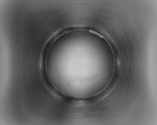 X0000115790396200911201336