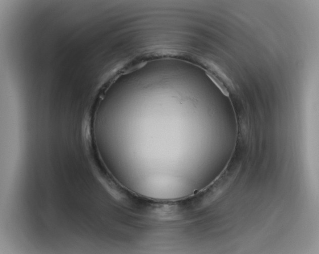 X0000115790398200911201336