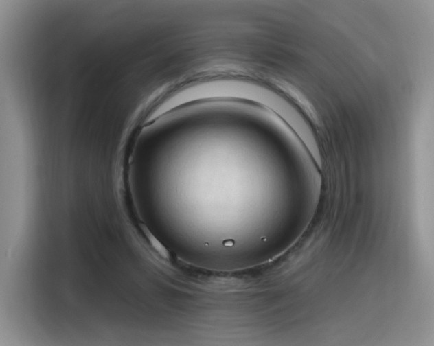 X0000115790399200911201336