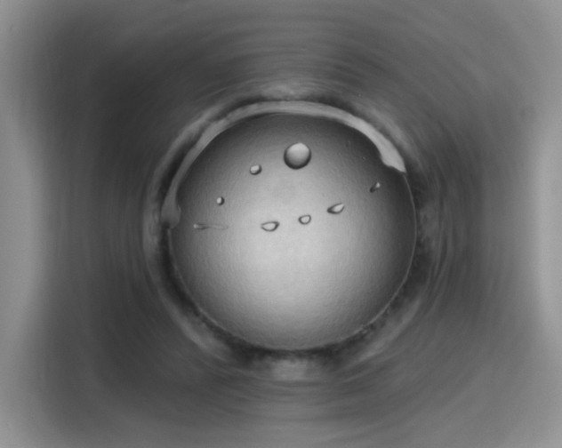 X0000115790400200911201336