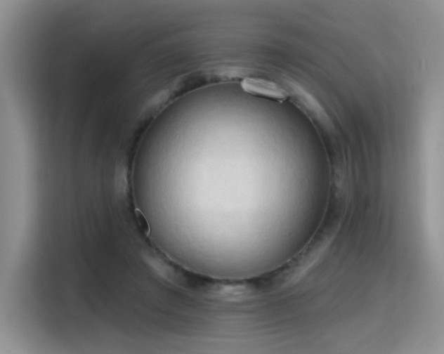 X0000115790401200911201336