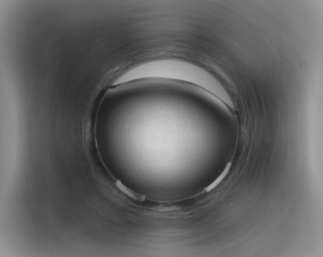 X0000115790403200911201336