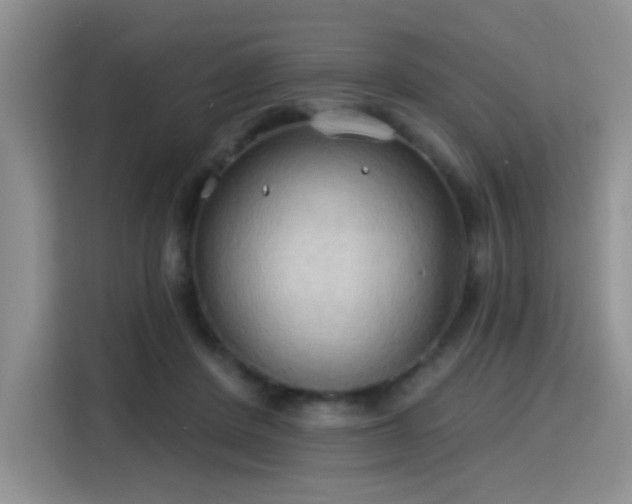 X0000115790408200911201336