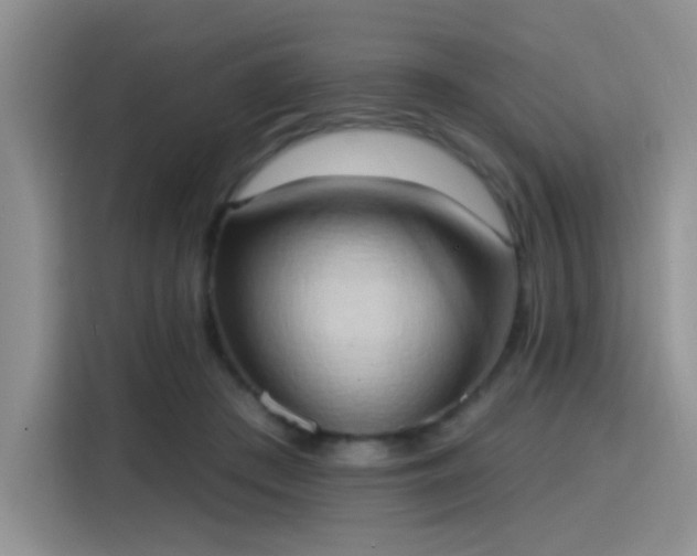 X0000115790409200911201336