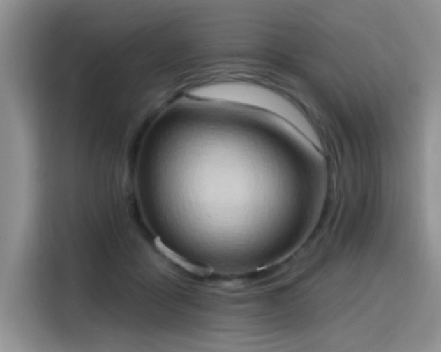 X0000115790411200911201336