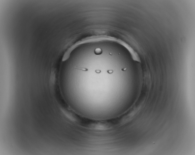 X0000115790412200911201336