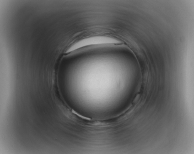 X0000115790413200911201336