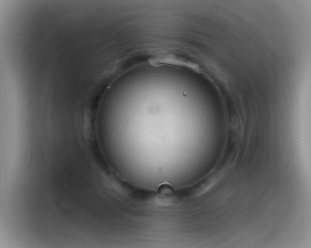 X0000115790416200911201336