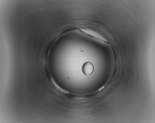 X0000115790417200911201336