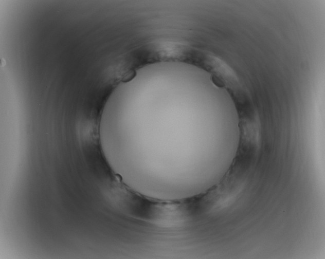 X0000115790419200911201336