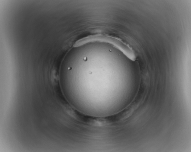 X0000115790420200911201336