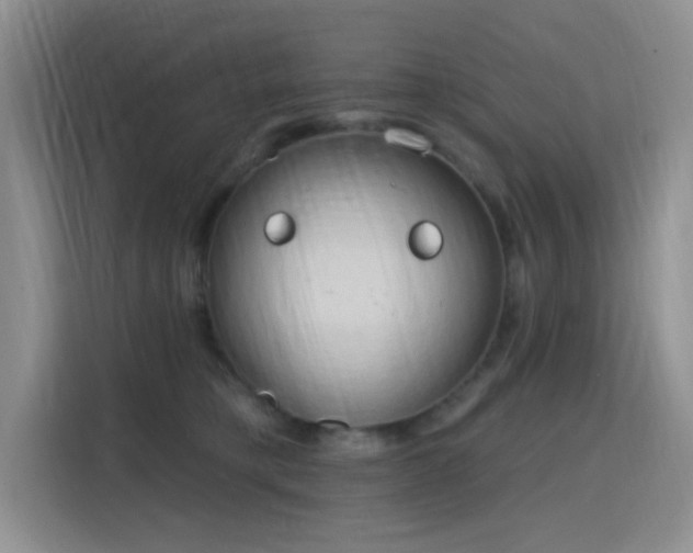 X0000115790421200911201336