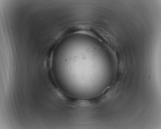 X0000115790424200911201336