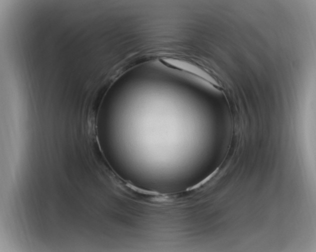 X0000115790425200911201336