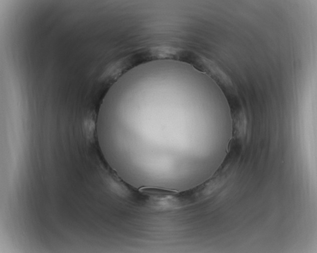 X0000115790427200911201336