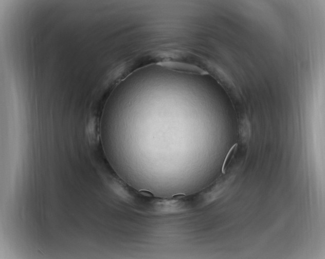 X0000115790428200911201336