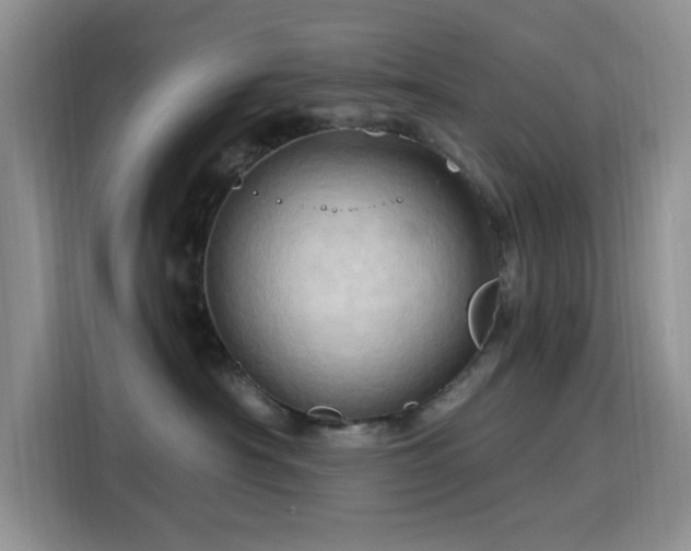 X0000115790430200911201336