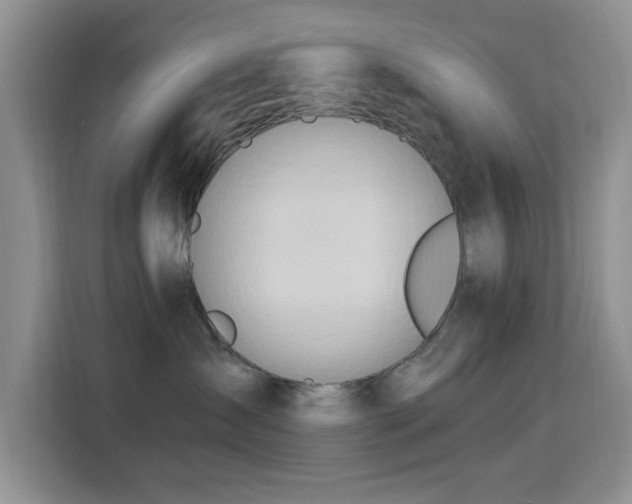 X0000115790431200911201336