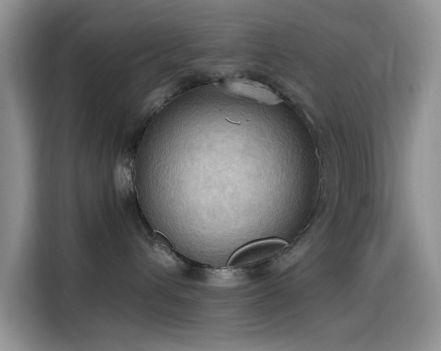 X0000115790432200911201336